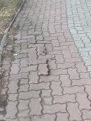 Foto: hochstehende Pflastersteine im Radweg 